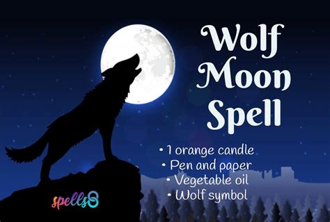 Magical Wolf Review 2024
